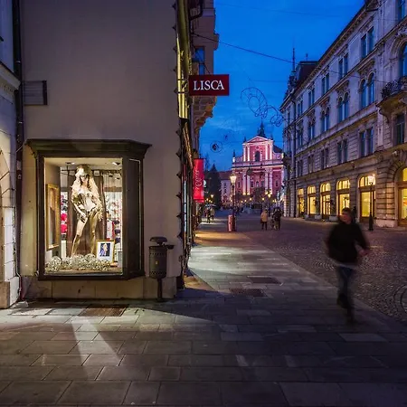 Apartmán Central By Town Hall Lublaň